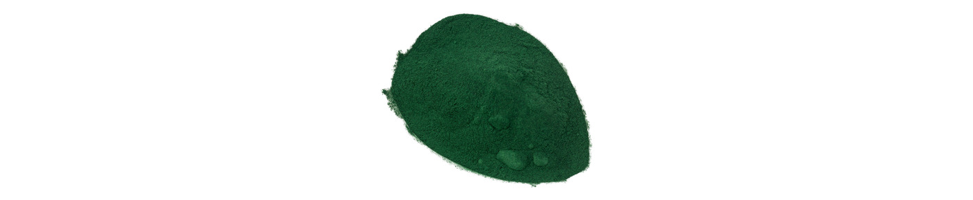 Euglena gracilis kivonat
