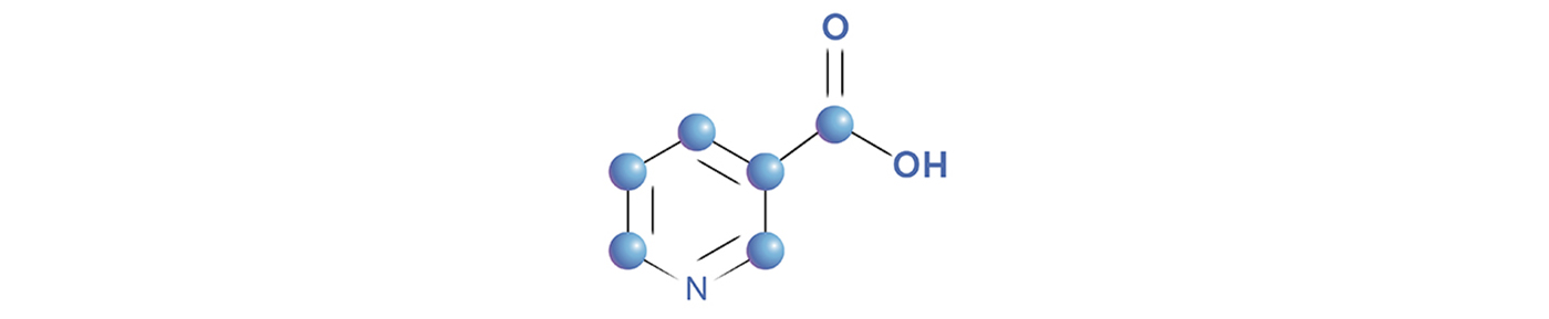 Niacinamide (B3-vitamin)