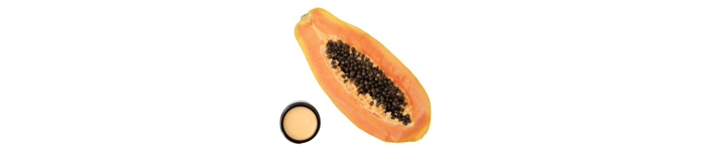 Papaya kivonat